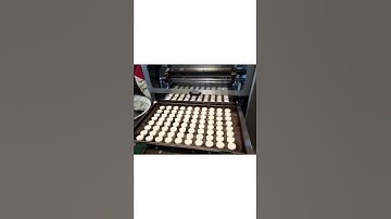 High speed wirecut cookies by KAR 🍁🍪 #bakery #kar #biscuit #wirecutter #bakerymachines #cookies