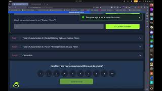 Tshark: The Basics TryHackMe Walkthrough