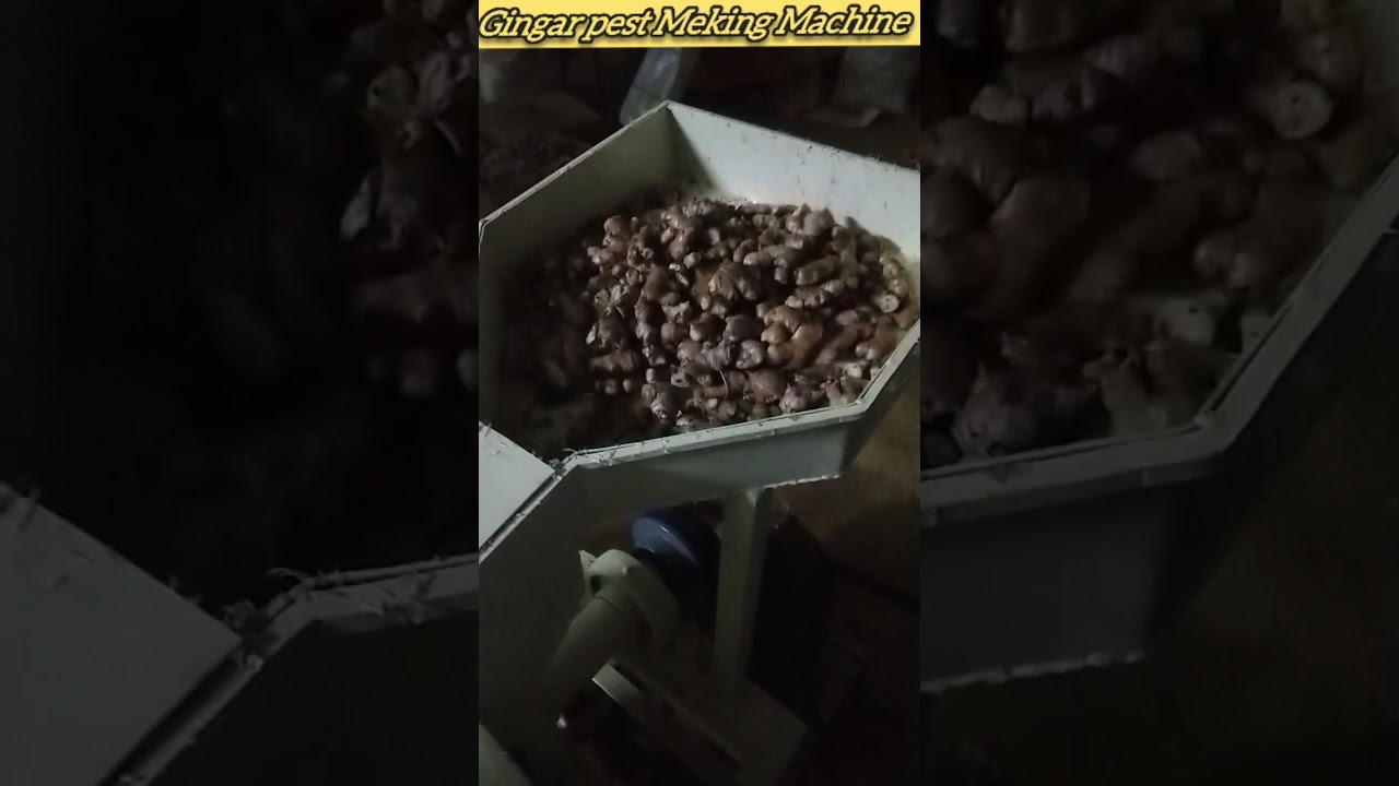 Ginger Pest Machine Super Machinery Akola 