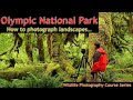 Olympic National Park - Wild Photo Adventures