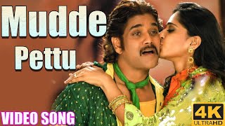 Mudde Pettu 4K 60Fps Movie, - Nagarjuna, Hka, Ragava Larencce