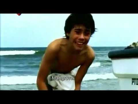 El Chico Que Miente (2010) with English Subtitles