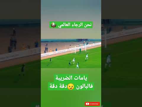 فيديو: عرجاء صبار عيد الميلاد: ما الذي يسبب ذبول أو تعرج فروع صبار عيد الميلاد