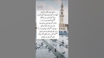 سورة الزمر ( tiktok.com/@alaa89hassaneen )