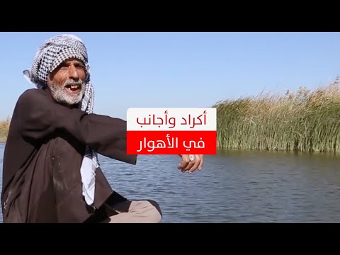 سُياح من داخل العراق وخارجه في الأهوار.. ما الذي يجذبهم وماذا يقولون عن تجاربهم؟