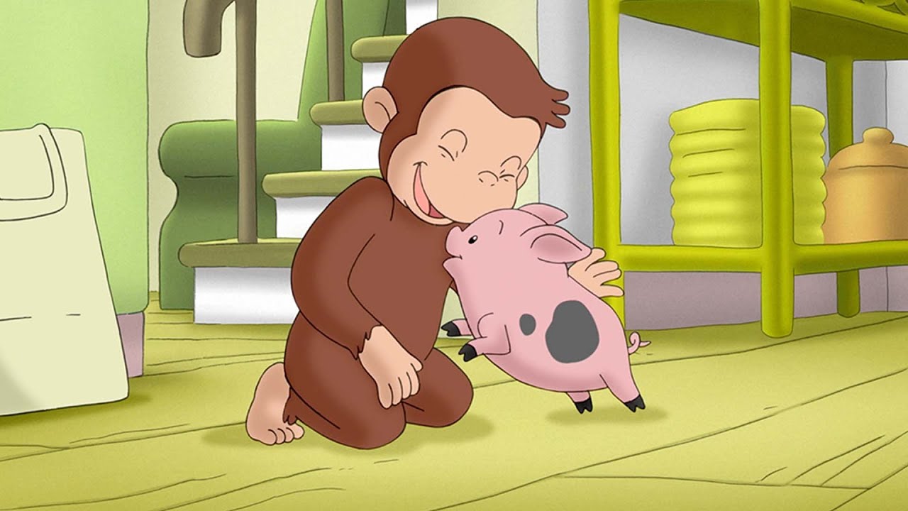 O porquinho mais fofinho 🐵 George, o Curioso 🐵 Desenhos Animados - YouTube