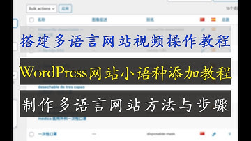 网站添加多语言教程-02 | WordPress多语言网站制作教程 | 如何为网站添加小语种操作步骤 | 制作多语言网站方法与步骤