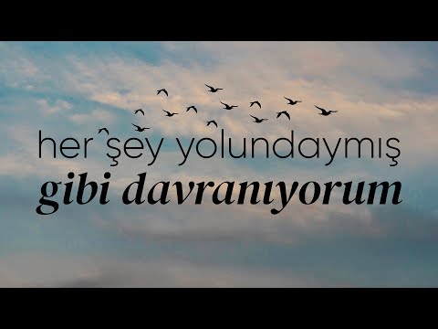 Her Şey Yolundaymış Gibi Davranıyorum - Emre Özdemir