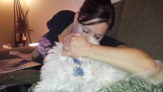 Quincy Didnt Like His Mommys Smooch.