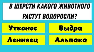 картинка: Ваши знания покажут, являетесь ли вы гением. Тест на эрудицию!