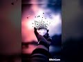 حالات واتساب حسين الجسمي ٢٠٢١ ياحته ياحته من قلبي 