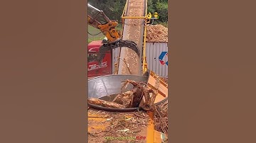 Crushing large tree roots : Videos of heavy machinery like shredding large roots.