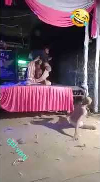 GOYANG HANTU JATUH KEBAWAH PANGGUNG  ngakak