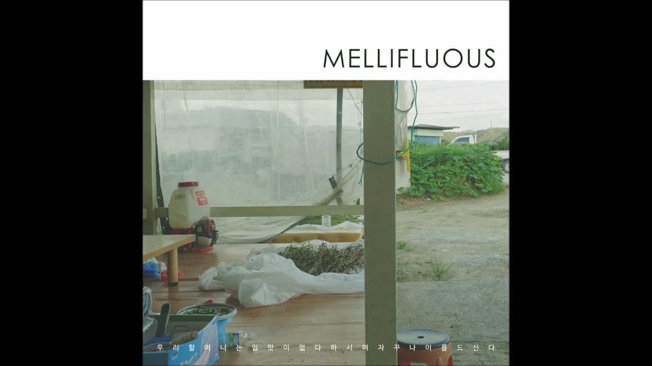 YouTube에서 멜리플루어스 (MELLIFLUOUS)_우리 할머니는 입맛이 없다 하시며 자꾸 나이를 드신다 [PurplePine Entertainment] 보기