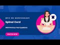 Spinal cord | BPCC 102 | Biopsychology | IGNOU