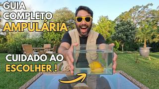 Antes de Colocar Ampulária no Aquário, Veja Isso