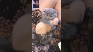 Https:youtube.com/Shorts/D7S5Ngqkde4?Si=1Izkedwvj60Fouwl