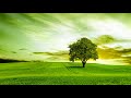 Relaxing Contemporary Instrumental Music 10 Hours