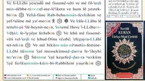ختمة من مصحف التجويد باللغة التركية الصفحة رقم 272