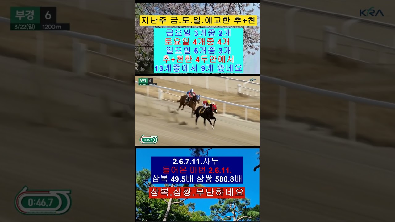 남정혁 기수 4일 정지 당하는 안타까운 영상 보기