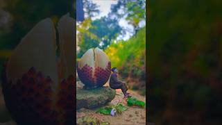 idea fotografer creative 📷 amazing #idea #fotocreativa