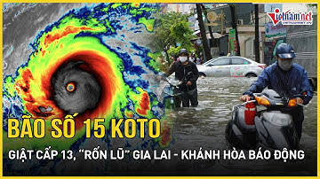 Cảnh giác cao độ: Bão số 15 Koto “đùng đùng” giật cấp 13, “rốn lũ” Gia Lai - Khánh Hòa báo động