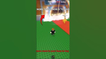 Taco Tuesday in Steal a Brainrot 🌮 Rare Pet?!