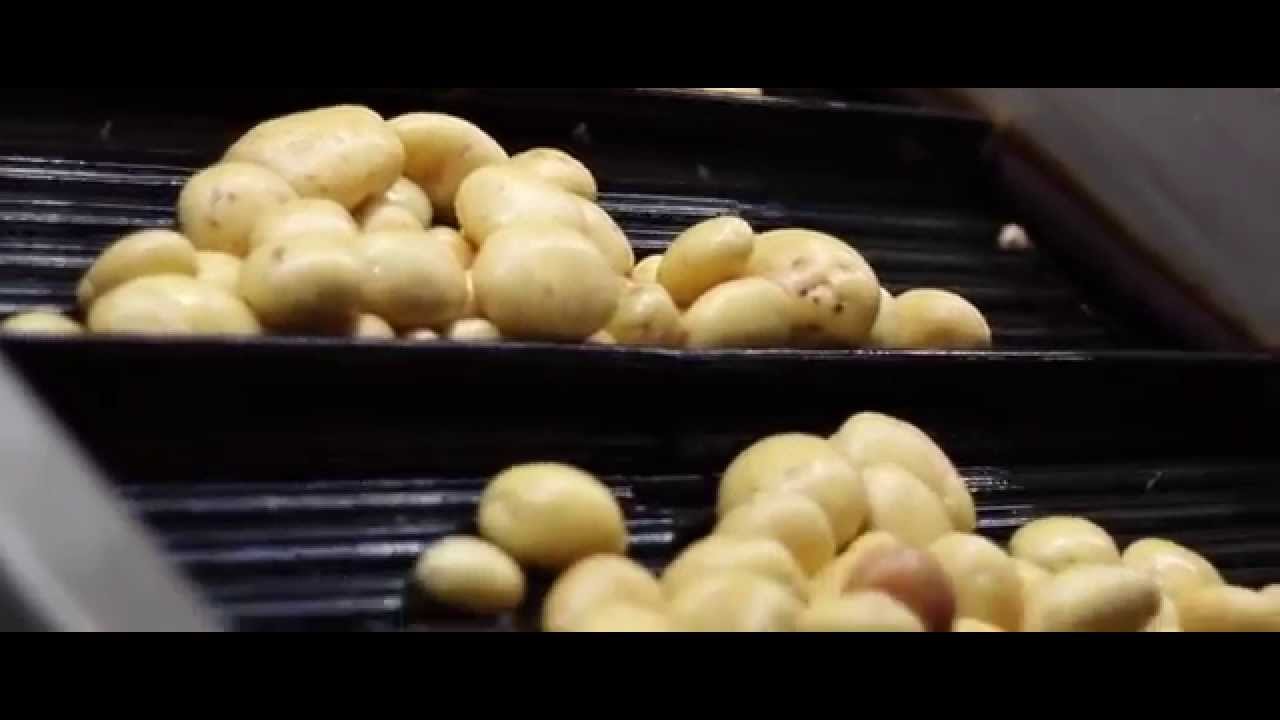 Wyma Case Study - A S Wilcox & Sons Ltd, New Zealand