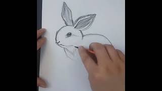 How to draw rabbit 🐇🐇🐰#easydrawing 😍🤗#shading #art #drawing