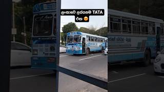 ලංකාවෙ ලස්සනම TATA එක 😍🚀 Most beautiful TATA bus #srilanka #viralvideo #fypシ゚ #1million