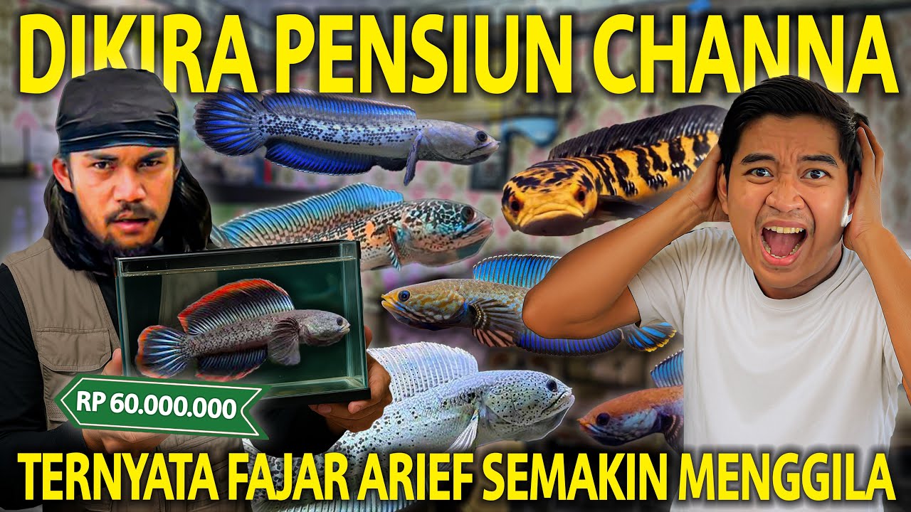 DIKIRA FAJAR ARIEF PENSIUN MAIN IKAN! TERNYATA KOLEKSINYA MAKIN MENGGILA!