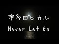 Never Let Go/宇多田ヒカル cover.