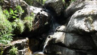 CORSICA 2011