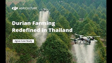 DJI Agras Case Study: Innovative Durian Farming in Thailand