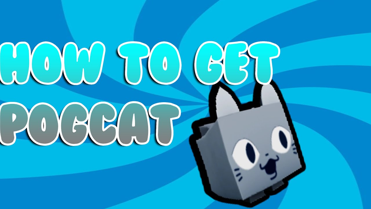 Pogcat HOW TO GET POGCAT IN PET SIMULATOR X - YouTube