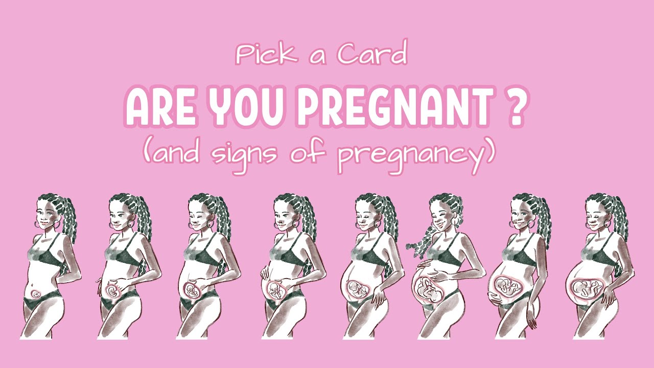 Pick a Card - Are You Pregnant (and signs of pregnancy) ?