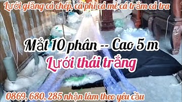lưới giăng cá tra cá trắm cá chép cá mè cá phi cá vược lưới giăng cá ao sông hồ đầm suối biển ruộng
