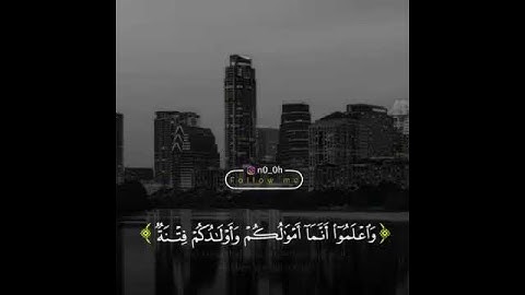 تلاوة خاشعة وآيات مباركة من سورة الأنفال..📚/القارئ هيثم الدخين../حالات واتس أب دينية..💞