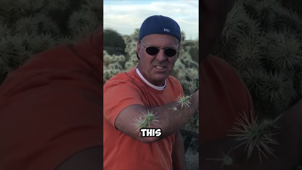 If you got a cactus spine in your skin? Don’t panic!😨