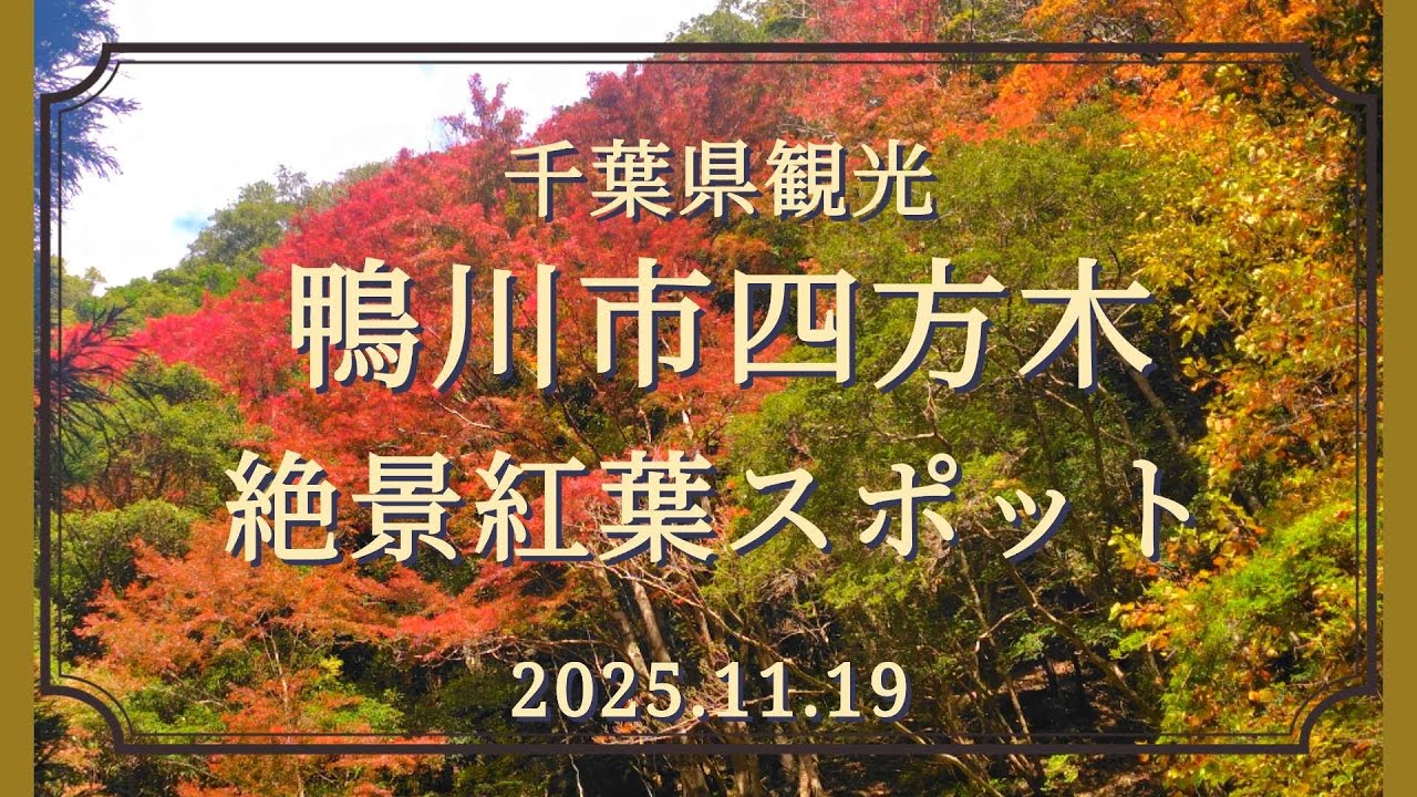 千葉県観光　鴨川市四方木の知られざる絶景紅葉スポット　錦沼〜四方木不動滝