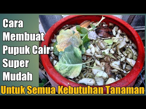 Video: Bukankah Kita Harus Membuat Pupuk Buatan Sendiri?