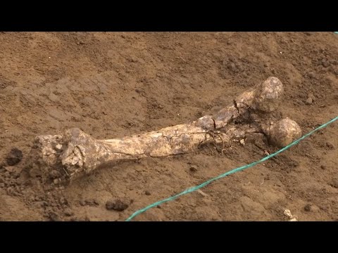 Wideo: Prehistoryczna Przeszłość Gruzji