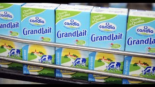 Sécheresse : vers une pénurie de lait l'automne prochain ?