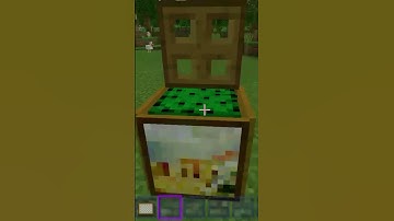 nice trash can with use cactus😉#Minecraft #shorts 🌵