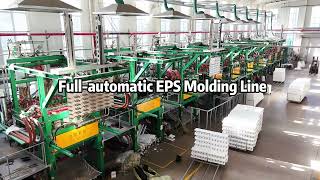 Full Automatic EPS Shape Molding Line, Styrofoam Molding Machine Display, EPS Machine Supplier