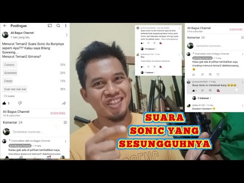 Seperti apa Suara Sonic yang Sesungguhnya???