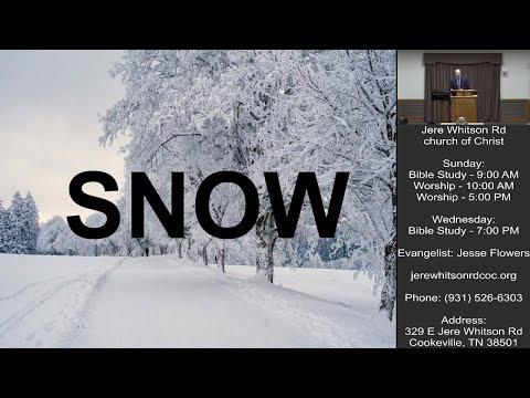 Video preview