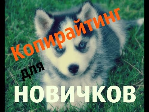 КАК ЗАРАБОТАТЬ КОПИРАЙТЕРУ ОТ РУБ В МЕСЯЦ-20-08-2015