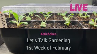Lets talk gardening – first week in February