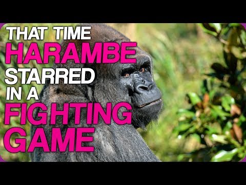 wiki-weekends-|-that-time-harambe-starred-in-a-fighting-game